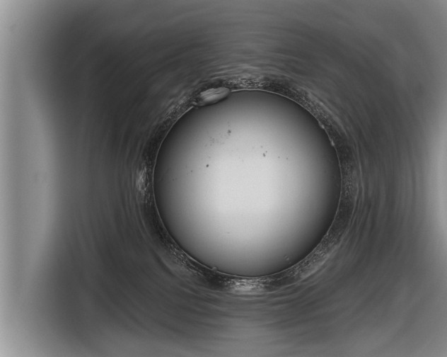 X0000116850088200912291248