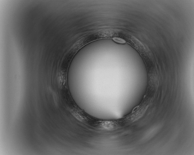 X0000116850091200912291248