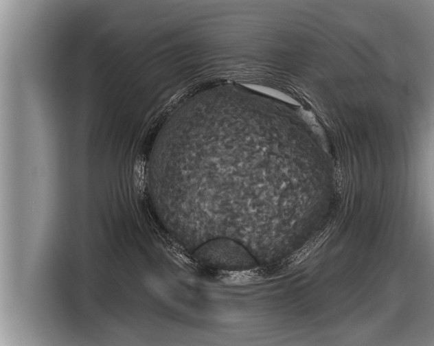 X0000116850093200912291248