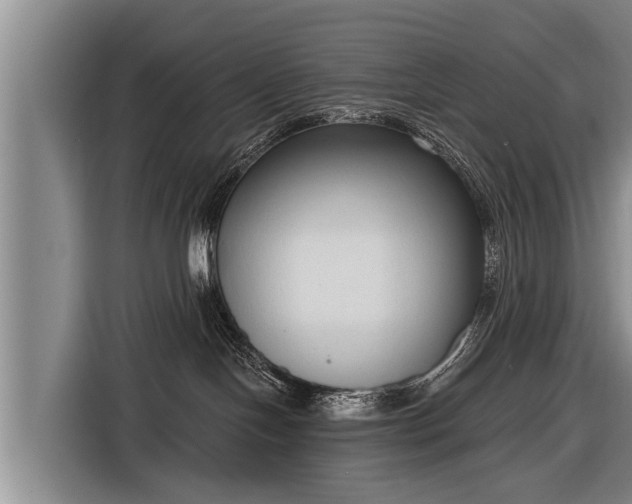 X0000116850094200912291248