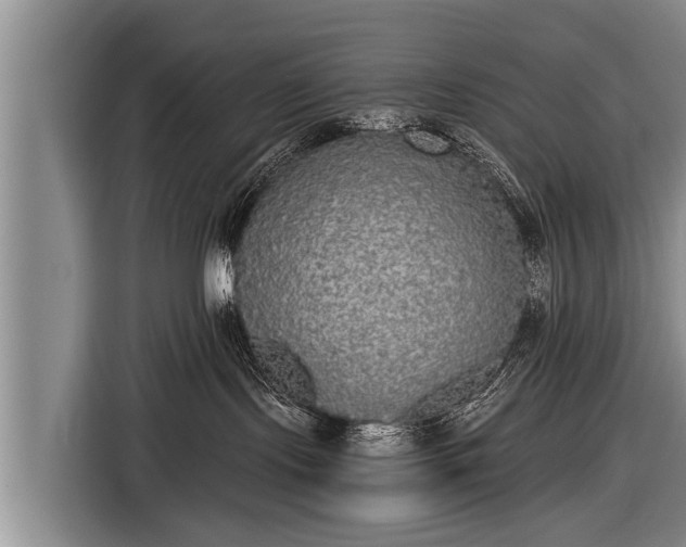 X0000116850095200912291248