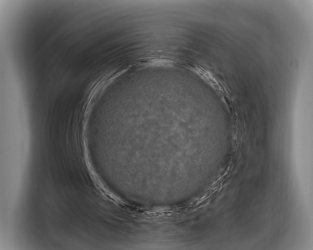 X0000116850097200912291248