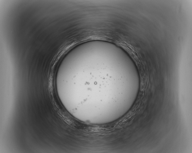 X0000116850098200912291248