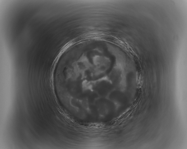 X0000116850099200912291248