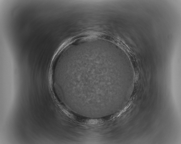 X0000116850101200912291248