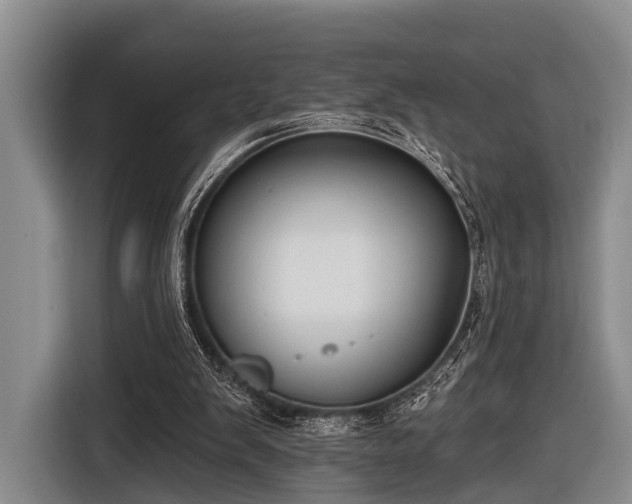X0000116850103200912291248