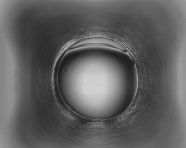 X0000116850104200912291248