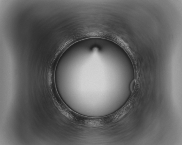 X0000116850106200912291248