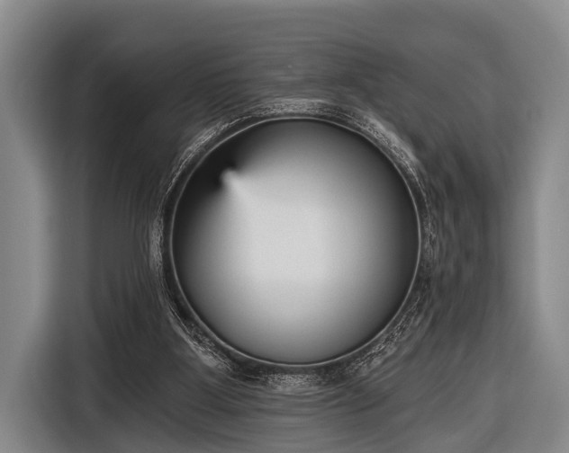 X0000116850107200912291248