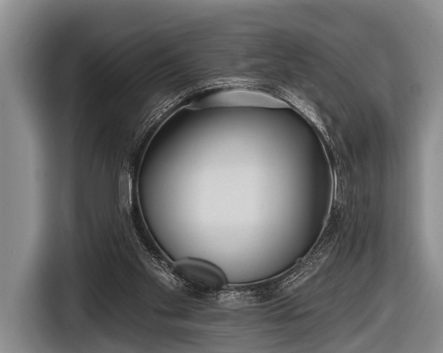 X0000116850109200912291248
