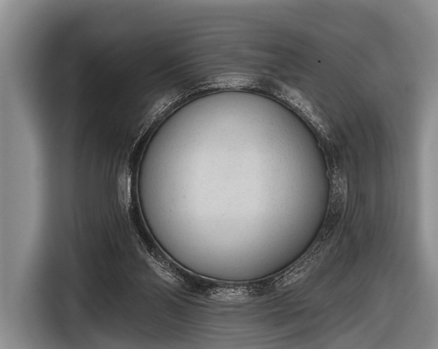 X0000116850110200912291248