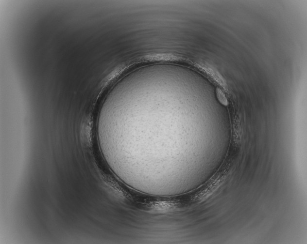 X0000116850111200912291248