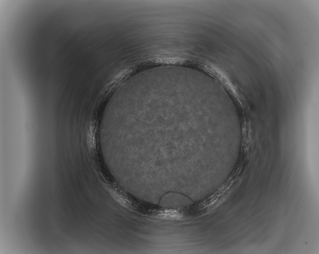 X0000116850114200912291248