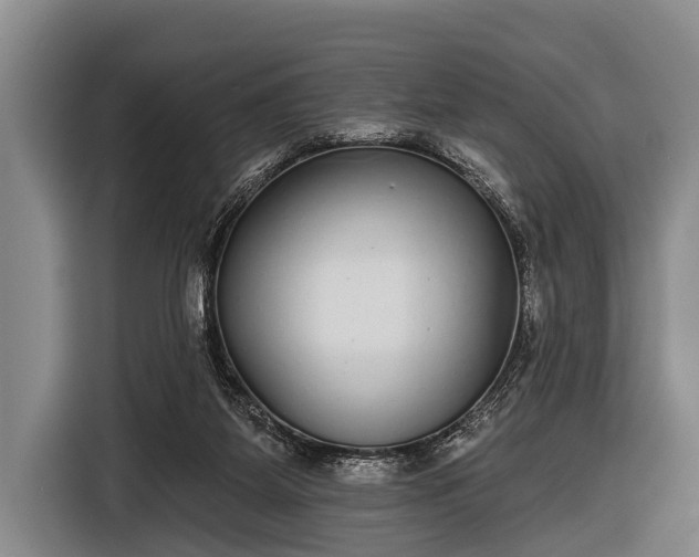 X0000116850115200912291248