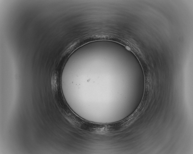 X0000116850116200912291248
