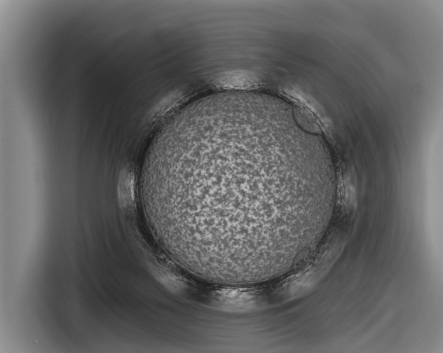 X0000116850117200912291248