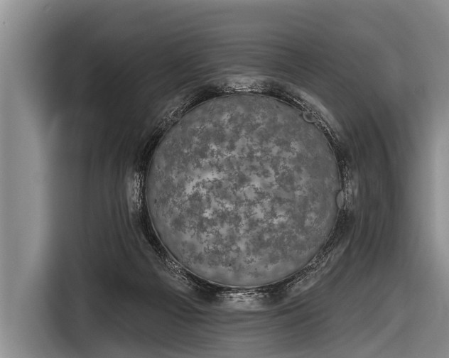 X0000116850121200912291248