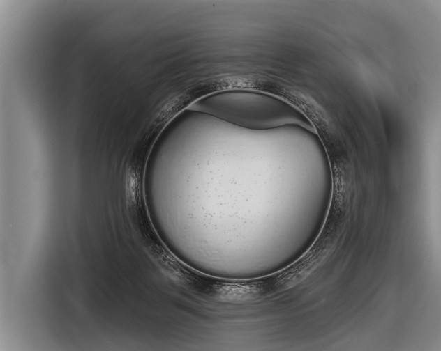 X0000116850123200912291248