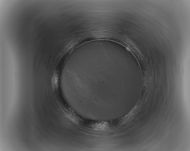 X0000116850124200912291248
