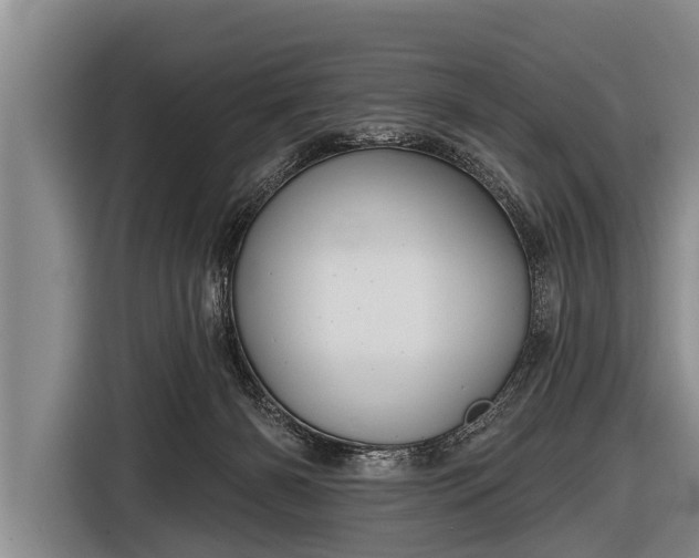 X0000116850126200912291247