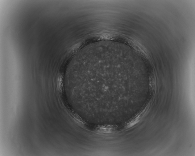X0000116850127200912291247
