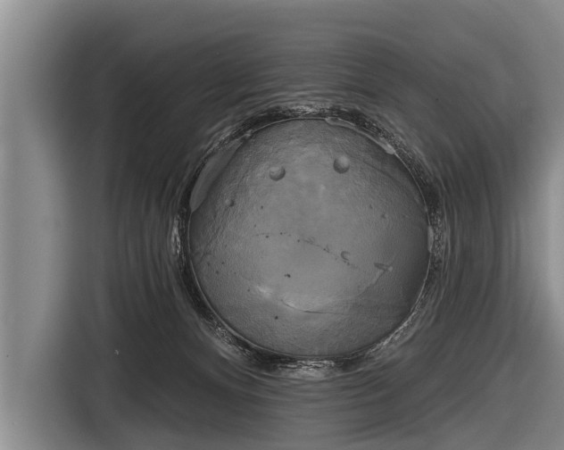 X0000116850128200912291247
