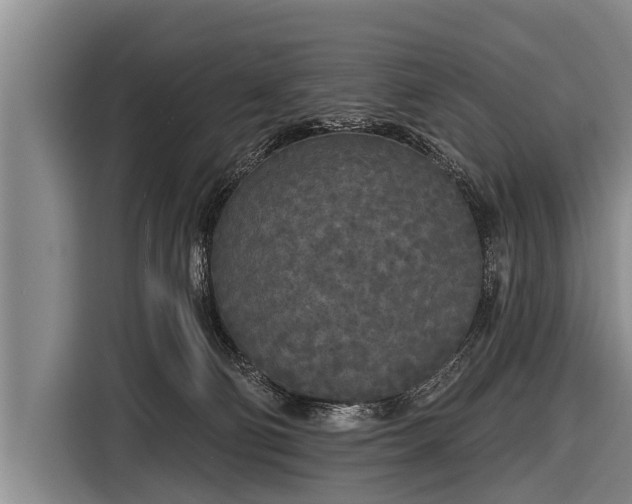 X0000116850130200912291247