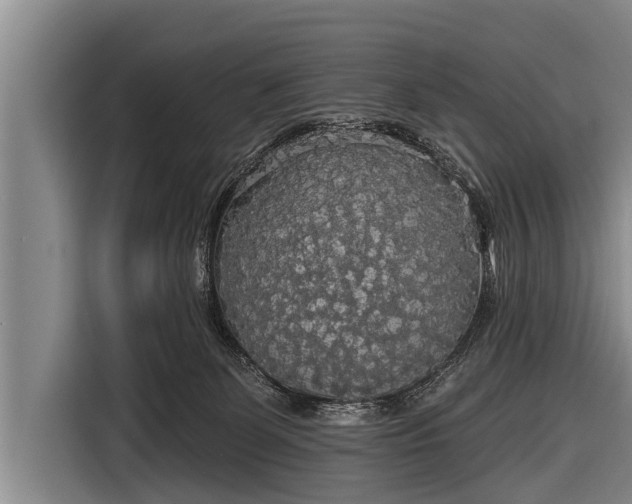 X0000116850131200912291247