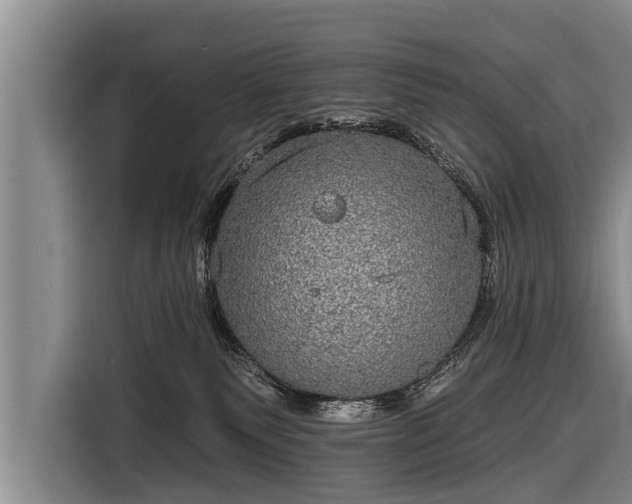 X0000116850135200912291247