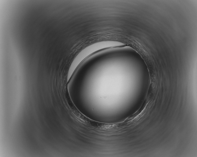 X0000116850136200912291247