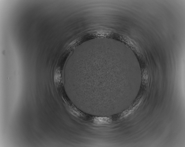 X0000116850137200912291247