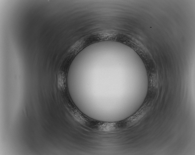 X0000116850138200912291247