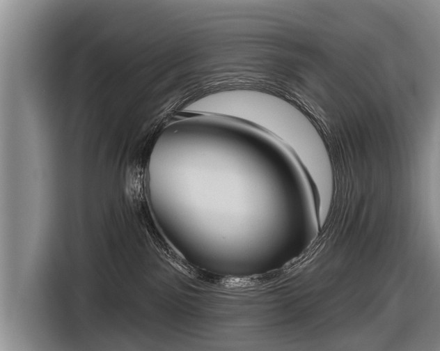 X0000116850141200912291247