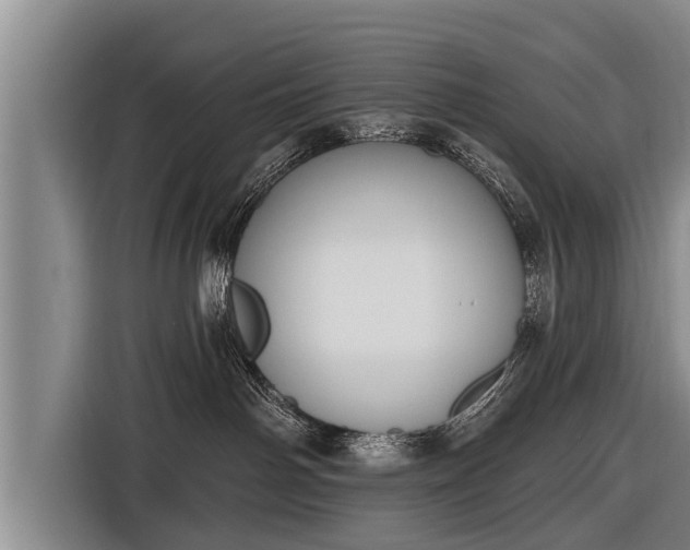 X0000116850142200912291247