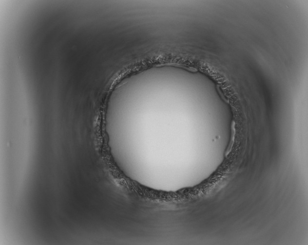 X0000116850144200912291247