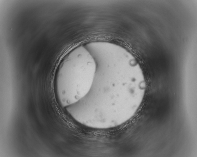 X0000116850146200912291247