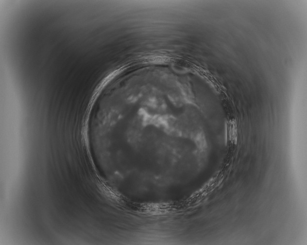 X0000116850147200912291247