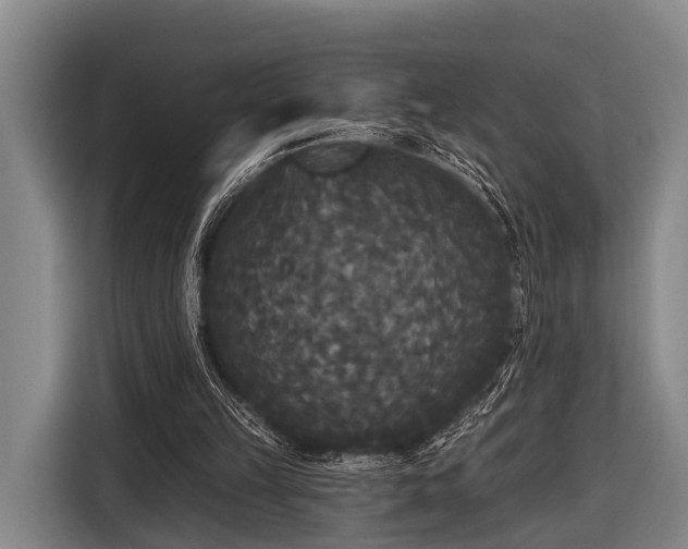 X0000116850149200912291247