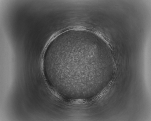 X0000116850151200912291247