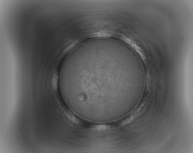 X0000116850153200912291247