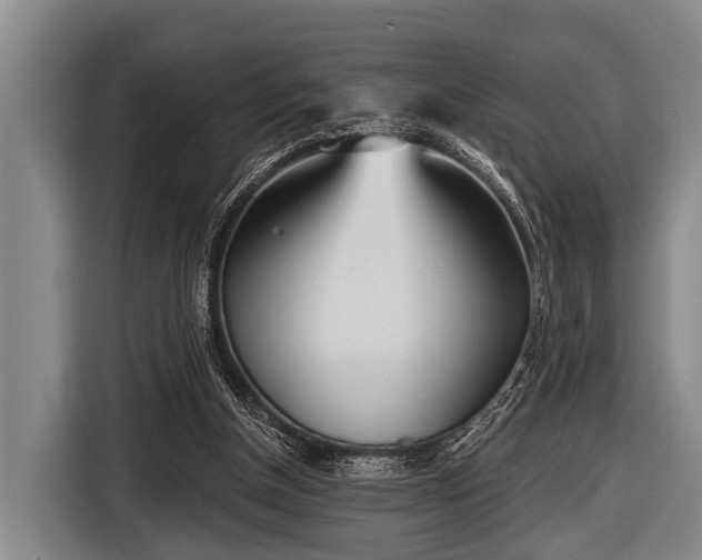 X0000116850154200912291247