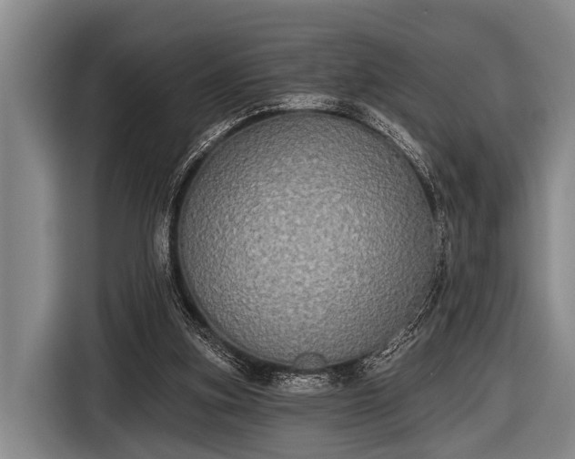 X0000116850155200912291247