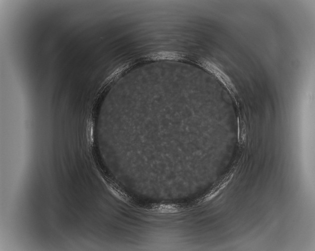 X0000116850157200912291247