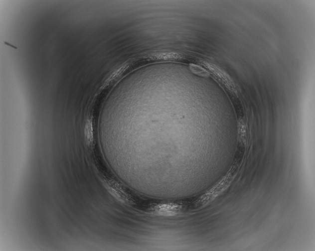X0000116850158200912291247
