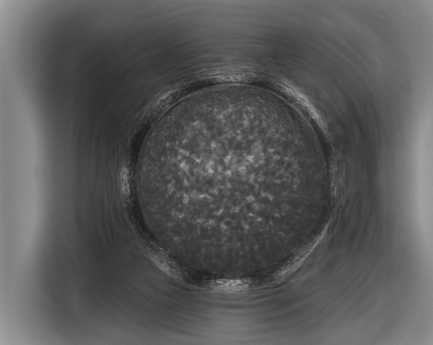 X0000116850161200912291247