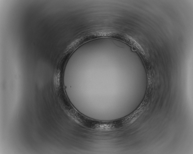 X0000116850163200912291247