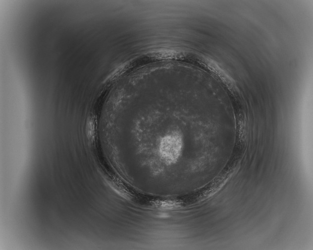X0000116850165200912291247