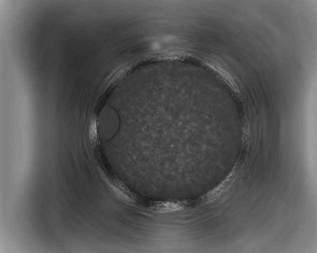 X0000116850166200912291247