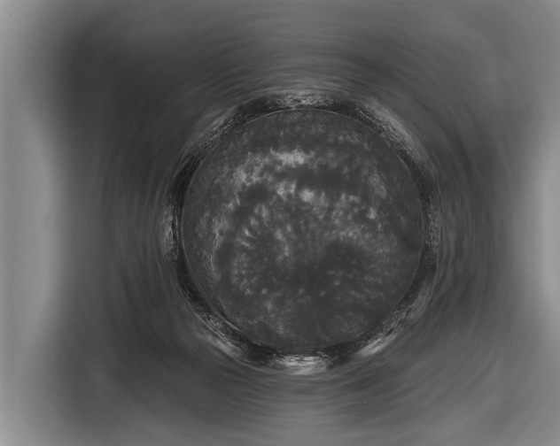 X0000116850169200912291247