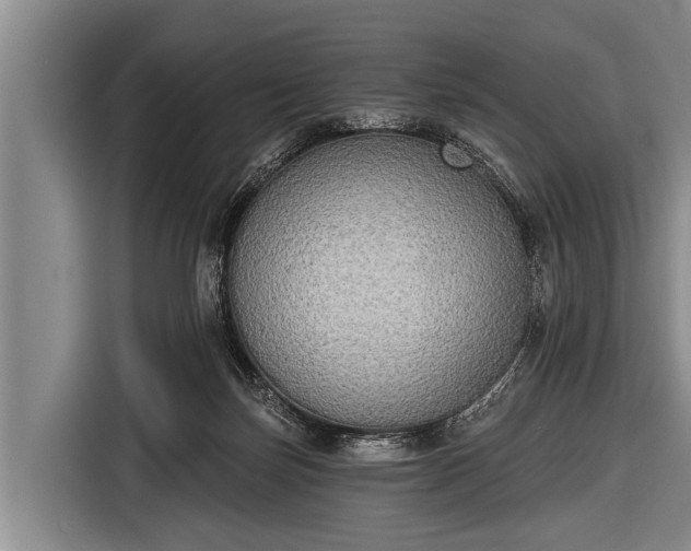 X0000116850171200912291247